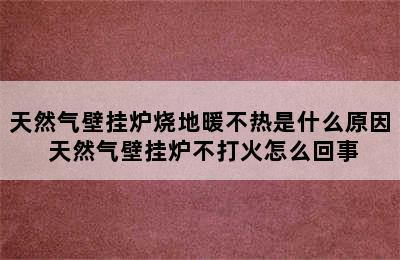 天然气壁挂炉烧地暖不热是什么原因 天然气壁挂炉不打火怎么回事